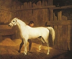 Grey Horse and Groom in a Stable