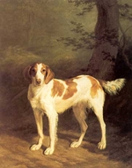 Dash a Setter