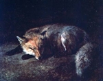 Sleeping Fox - Agasse