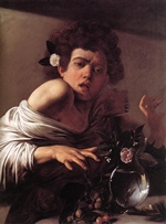 boy bitten by a lizard boy bitten by a lizard