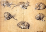 six studies of a cat six studies of a cat