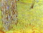 A Park Corner with a Blooming Lawn