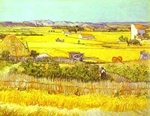 Harvest Landscape