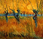 Pollard Willows in the Setting Sun