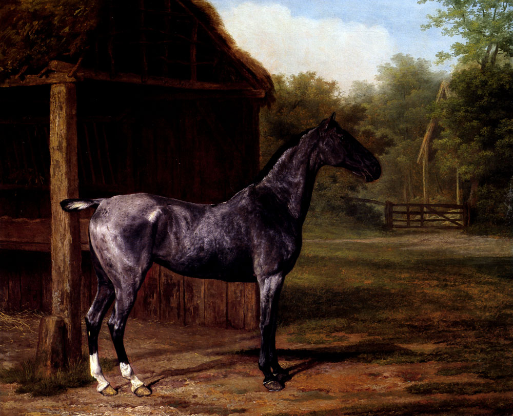 Lord Rivers Roan Mare in A Landscape
