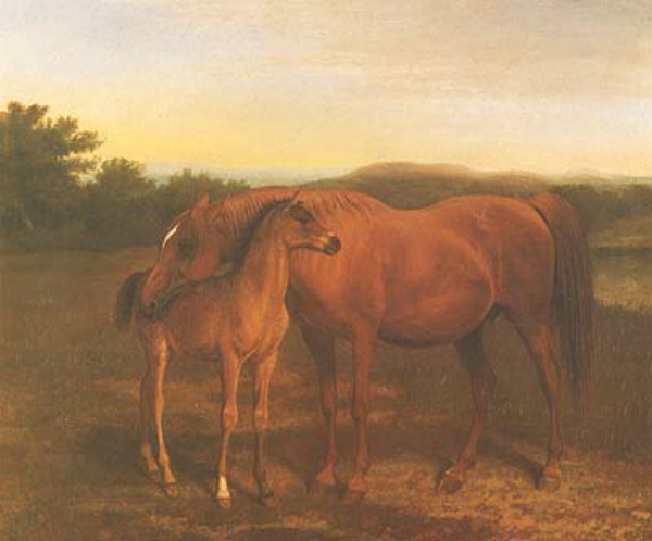 Arab Mare with Her Foal 