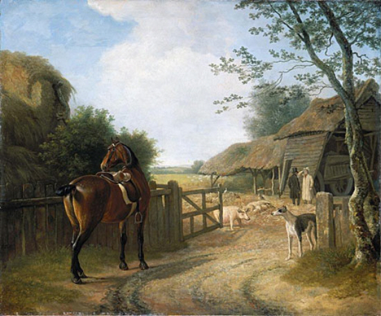 Daniel Beale at His Farm In Edmonton 