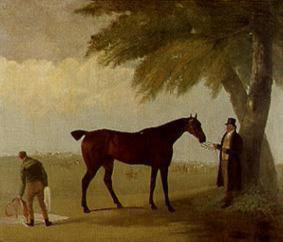 Malcom Greame with Throughbred Mare