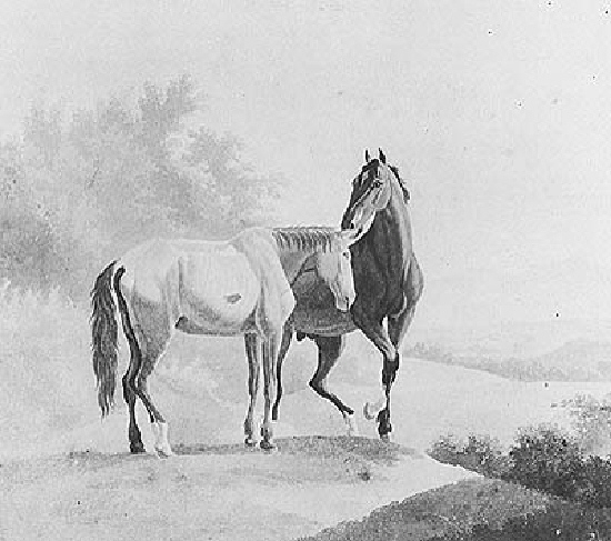Two Horses