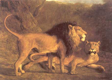 Lion and Lioness