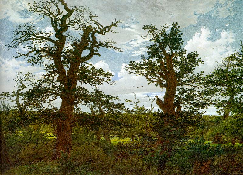 Landscape with oak trees and a Hunter