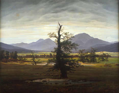 Solitary Tree