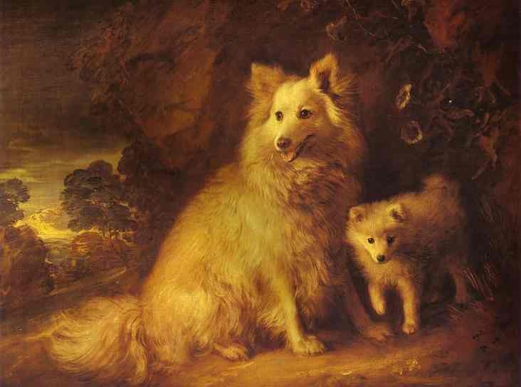 Pomeranian Bitch and Pup