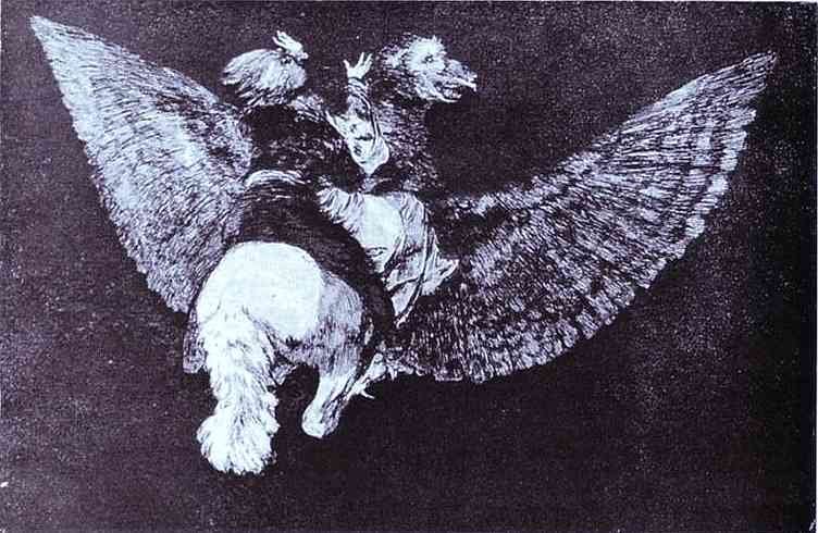 Disparate Volante