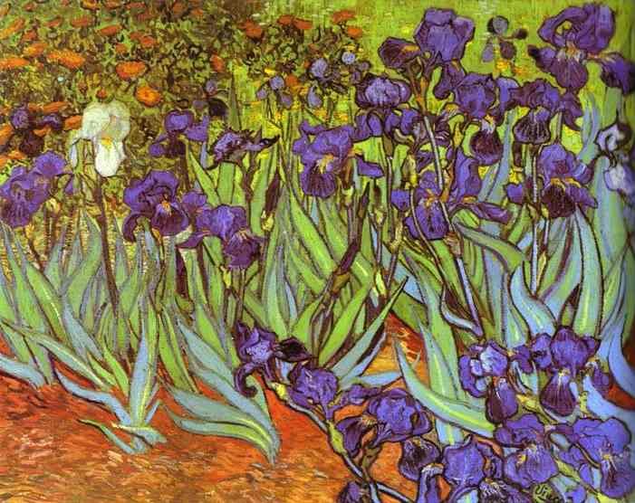 Irises. Sait-Remy