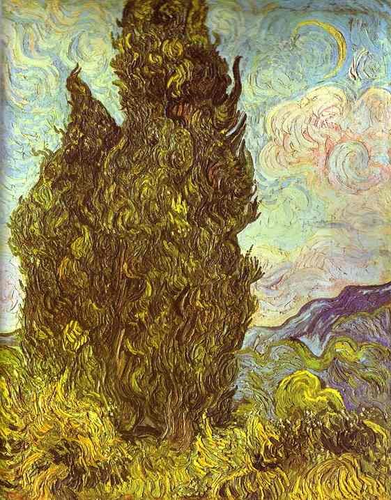 Two Cypresses