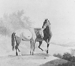 Two Horses - Agasse Two Horses - Agasse