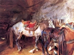 Arab Stable Arab Stable